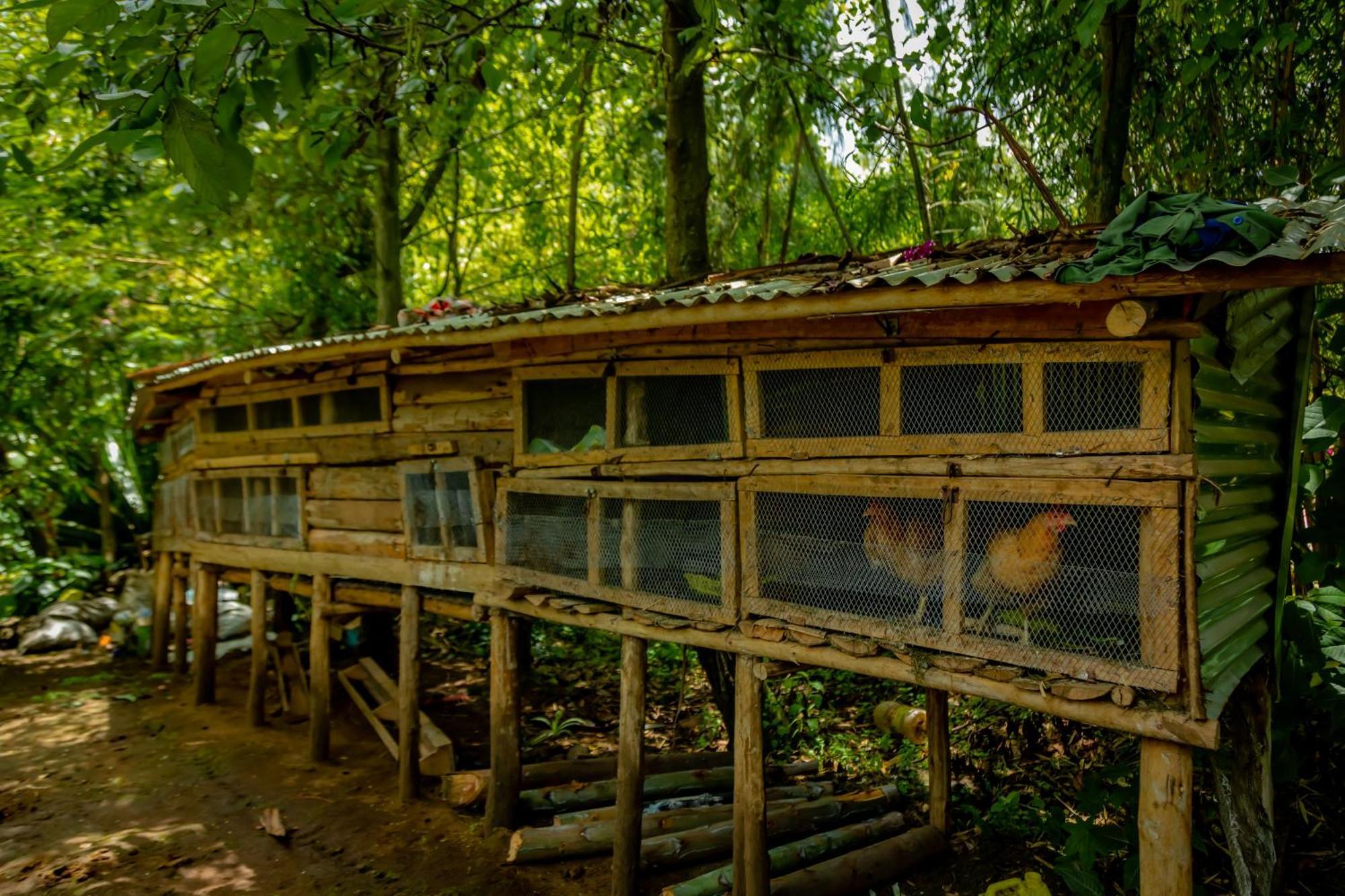 Fravan Eco Resort By Apogee Ruhengeri Esterno foto