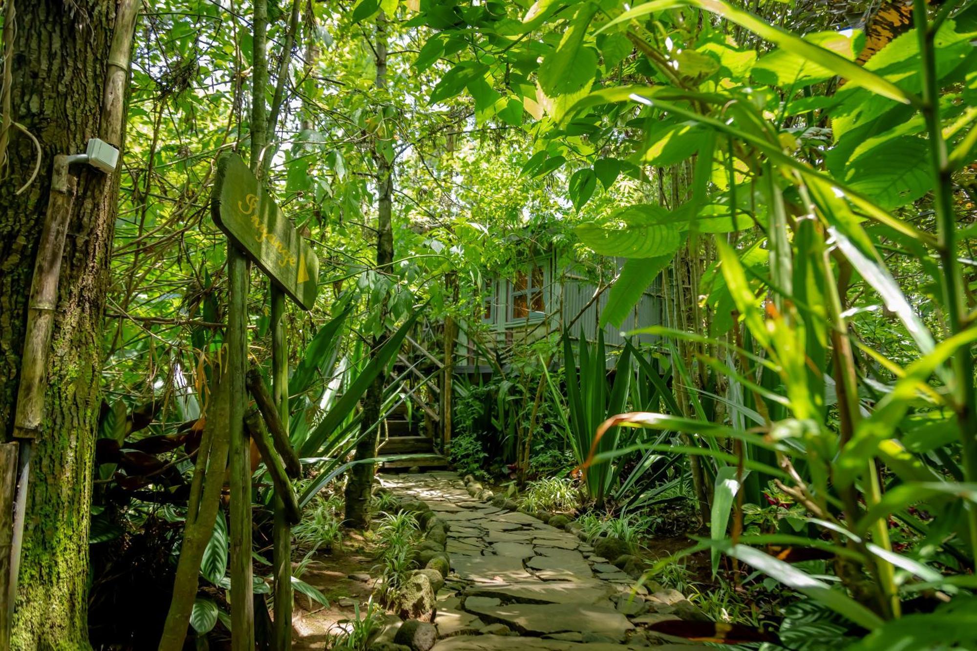 Fravan Eco Resort By Apogee Ruhengeri Esterno foto