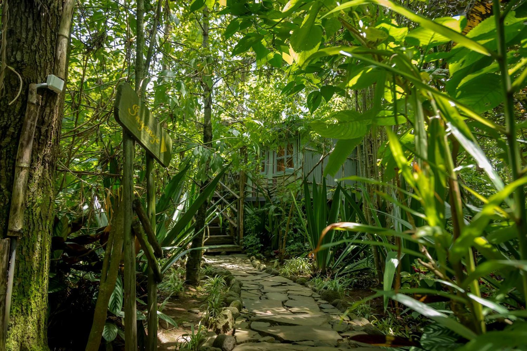 Fravan Eco Resort By Apogee Ruhengeri Esterno foto